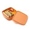 Tupperware kutija za užinu sa pregradom (550ml-1L)