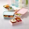 Tupperware kutija za užinu sa pregradom (550ml-1L)